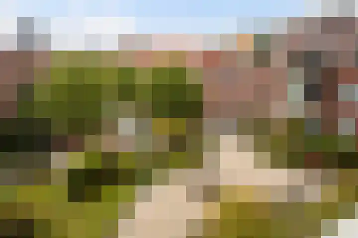 Maashavenstraat 43 Rotterdam thumbnail 34
