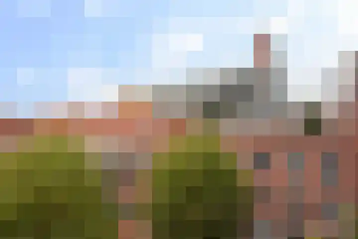 Maashavenstraat 43 Rotterdam thumbnail 35