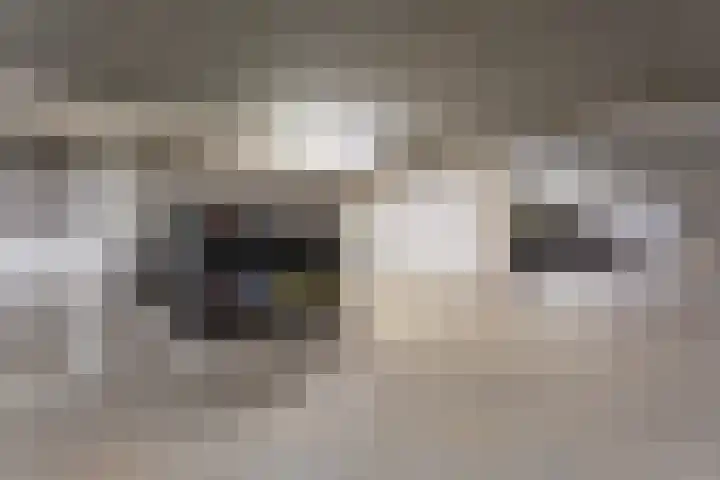Maashavenweg 202 Rotterdam thumbnail 24