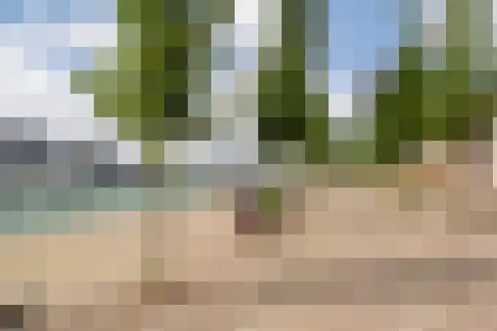 Maashavenweg 202 Rotterdam thumbnail 25