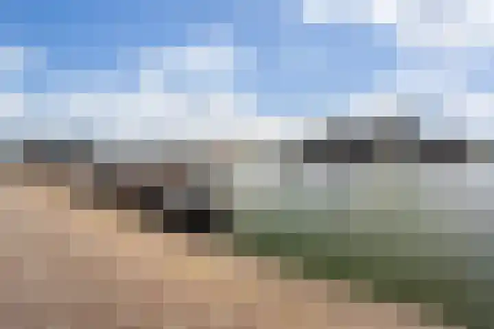 Maashavenweg 202 Rotterdam thumbnail 26