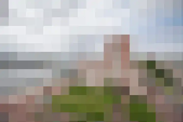 Maashavenweg 216 Rotterdam thumbnail 13