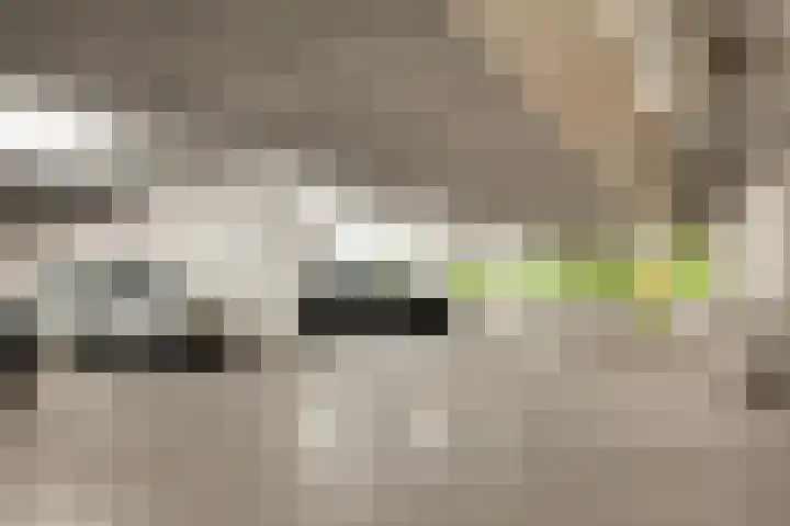 Maashavenweg 216 Rotterdam thumbnail 23