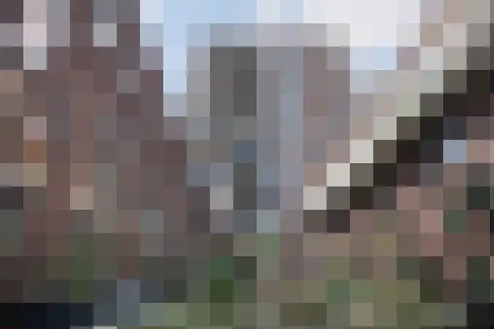 Maashavenweg 216 Rotterdam thumbnail 26