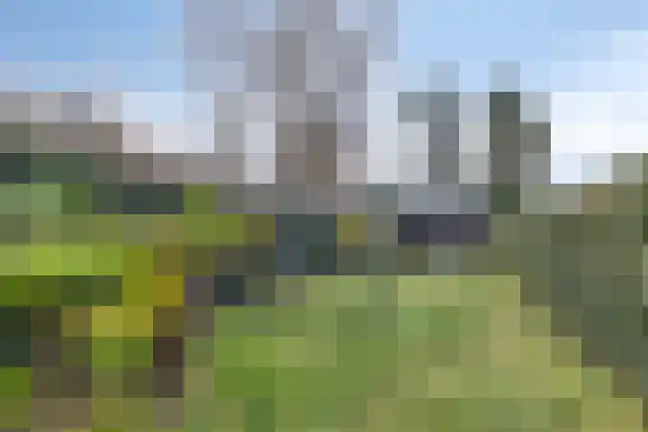 Maasheseweg 57 A Venray thumbnail 38