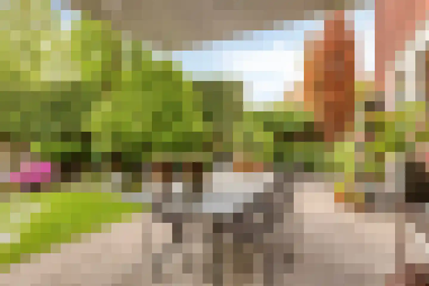 Maasheseweg 70 A Venray thumbnail 41
