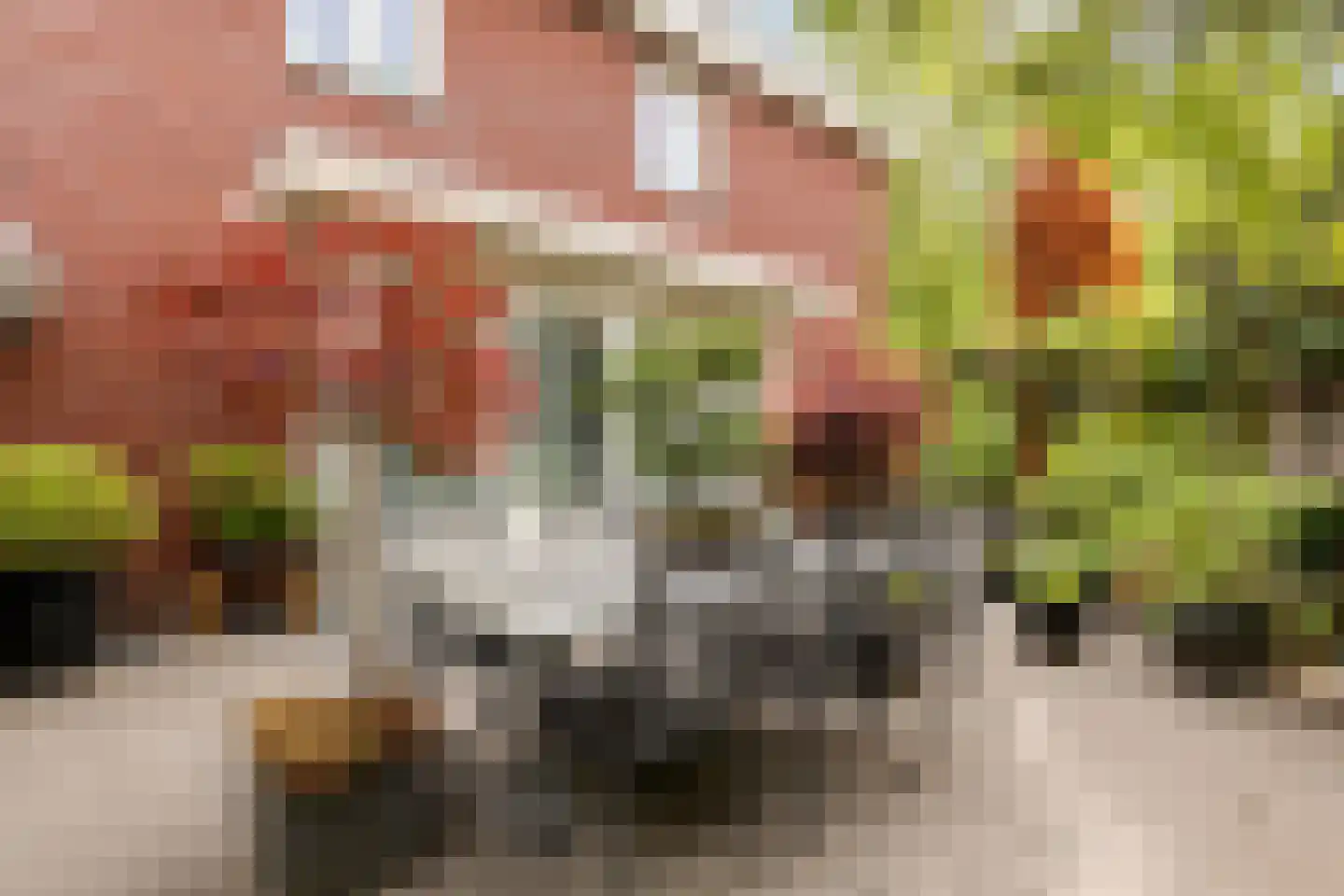 Maasheseweg 70 A Venray thumbnail 45