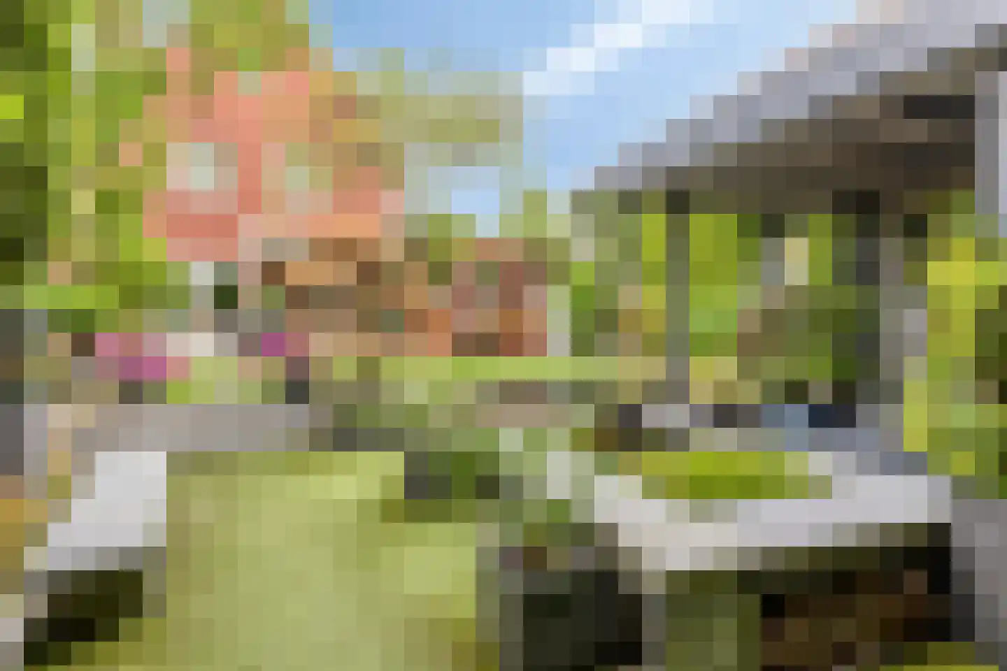 Maasheseweg 70 A Venray thumbnail 57