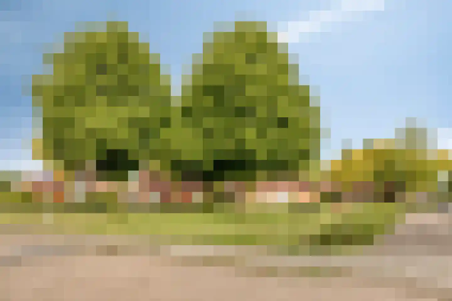 Maasheseweg 70 A Venray thumbnail 66