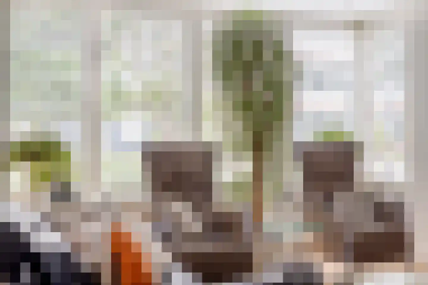 Maasheseweg 70 A Venray thumbnail 8
