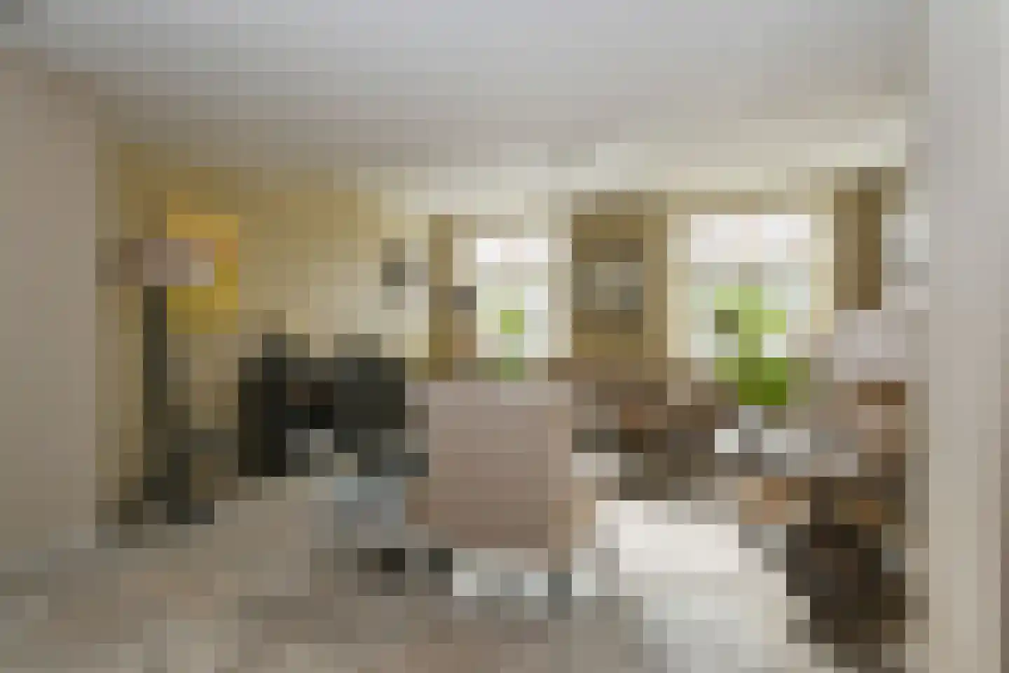 Maasheuvel 24 Roosteren thumbnail 11