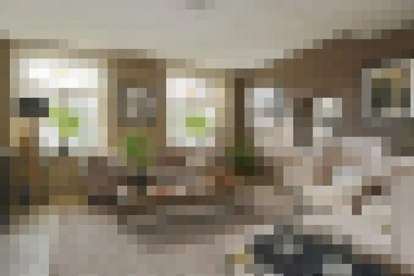 Maasheuvel 24 Roosteren thumbnail 12