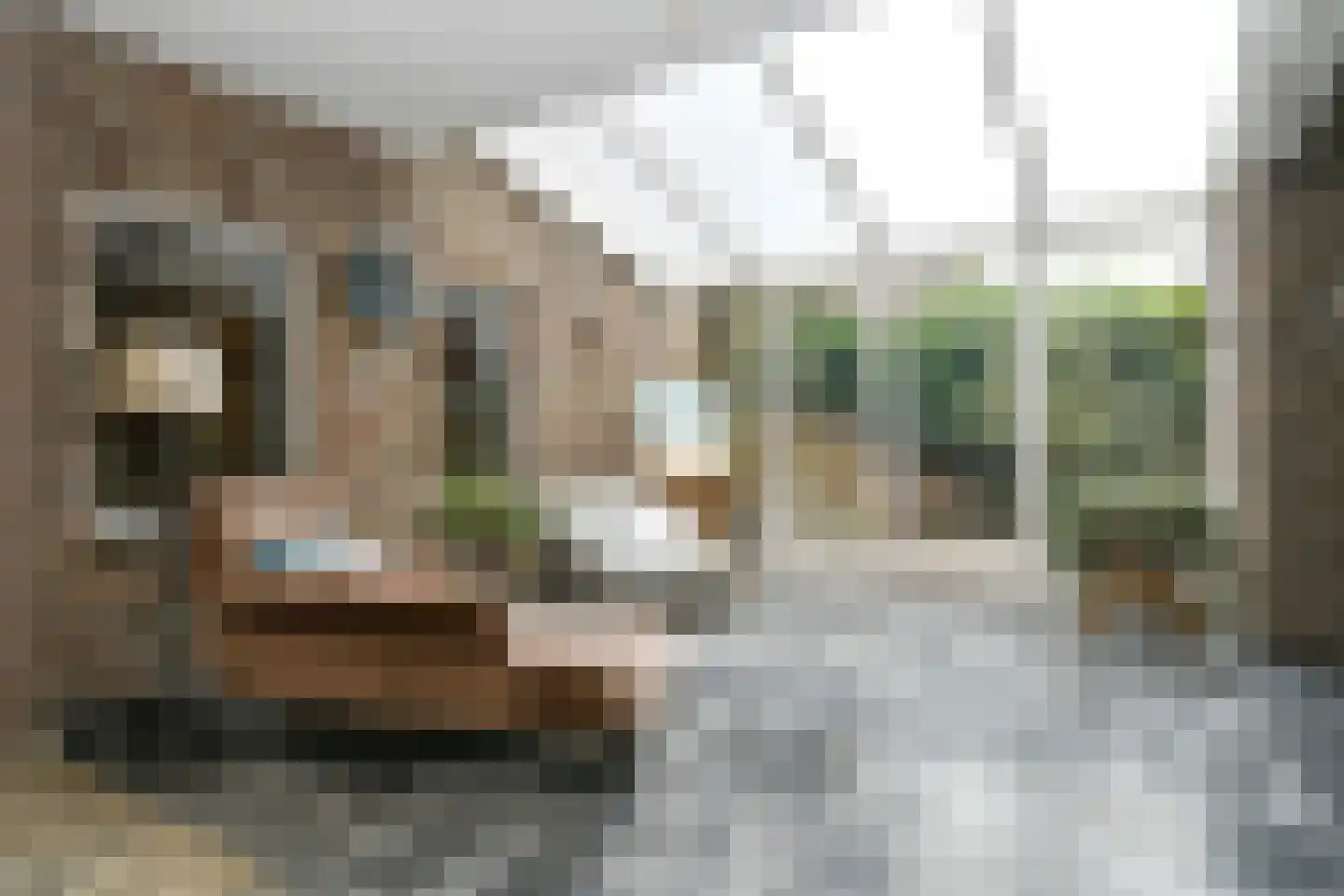 Maasheuvel 24 Roosteren thumbnail 19