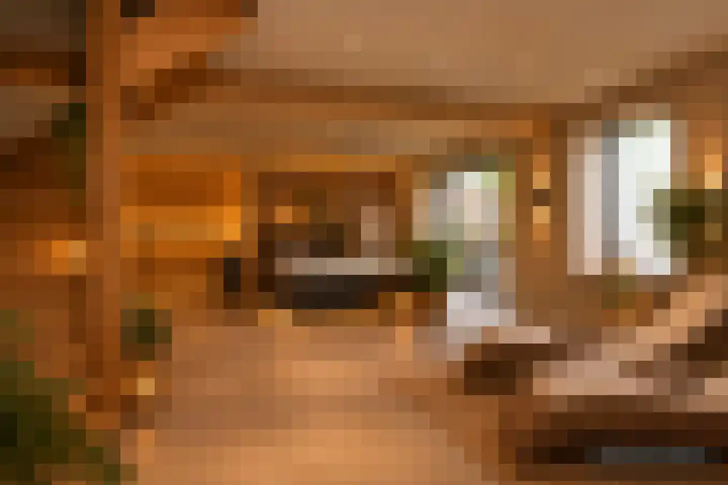 Maasheuvel 24 Roosteren thumbnail 24