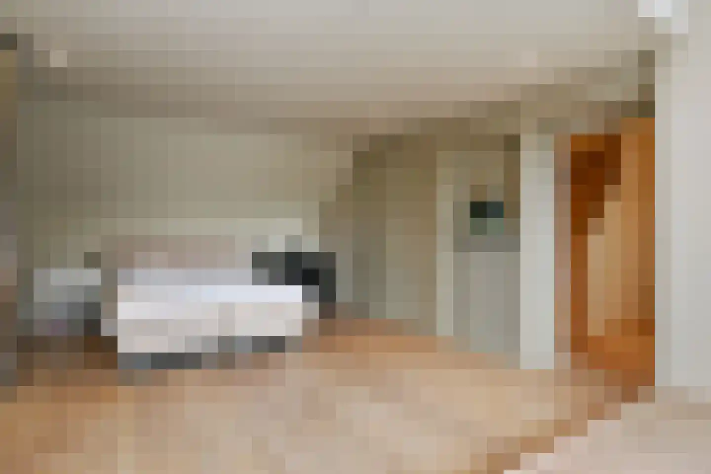 Maasheuvel 24 Roosteren thumbnail 25