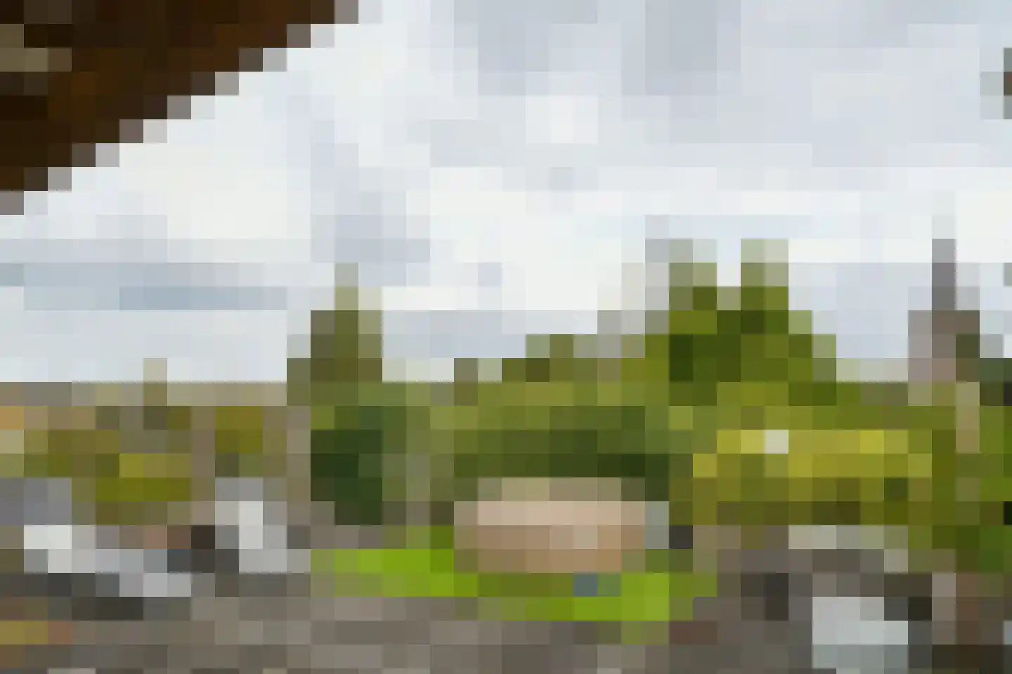 Maasheuvel 24 Roosteren thumbnail 34