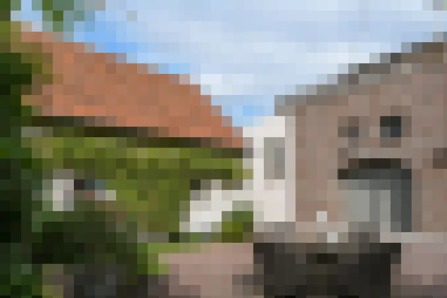Maasheuvel 24 Roosteren thumbnail 49