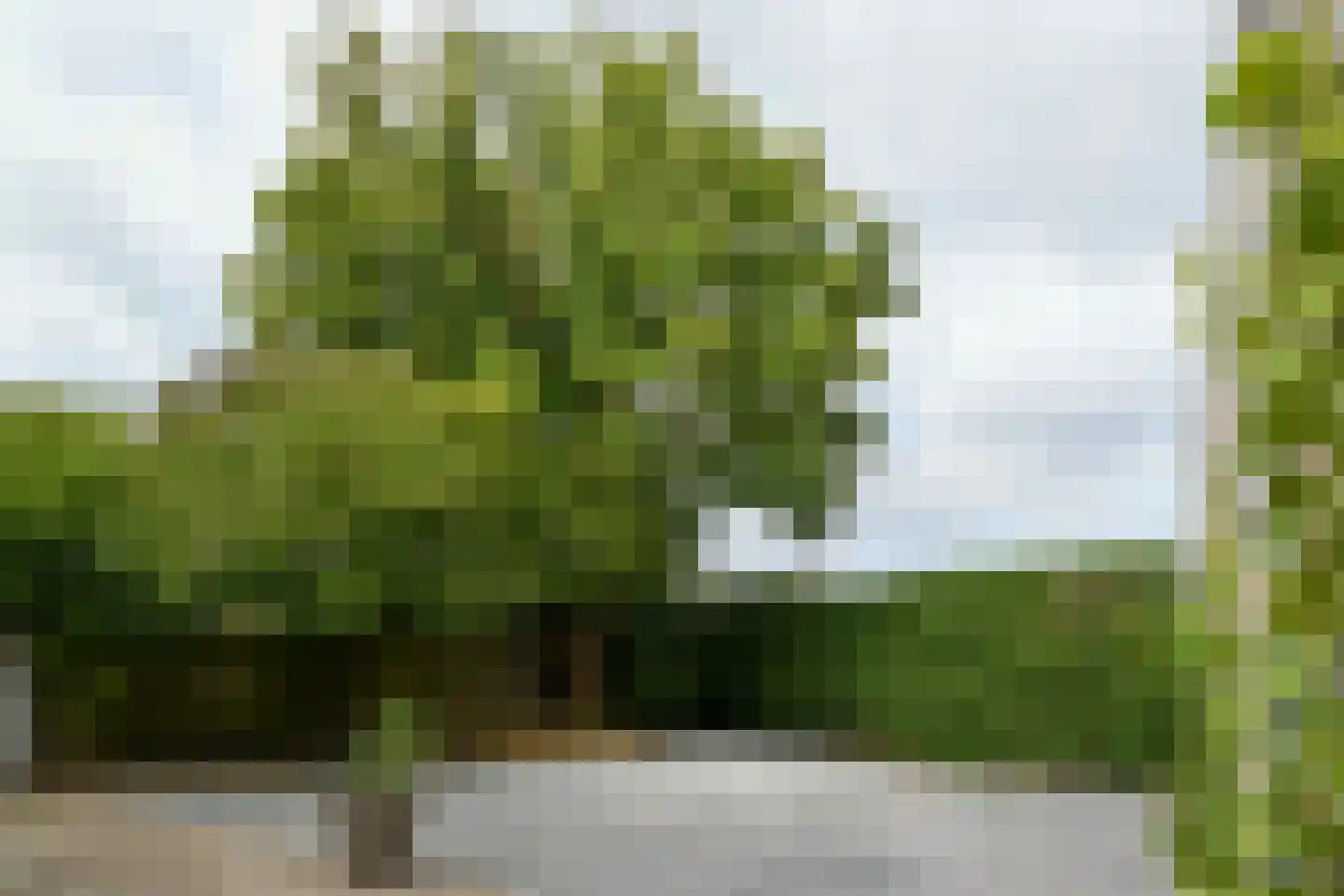 Maasheuvel 24 Roosteren thumbnail 51