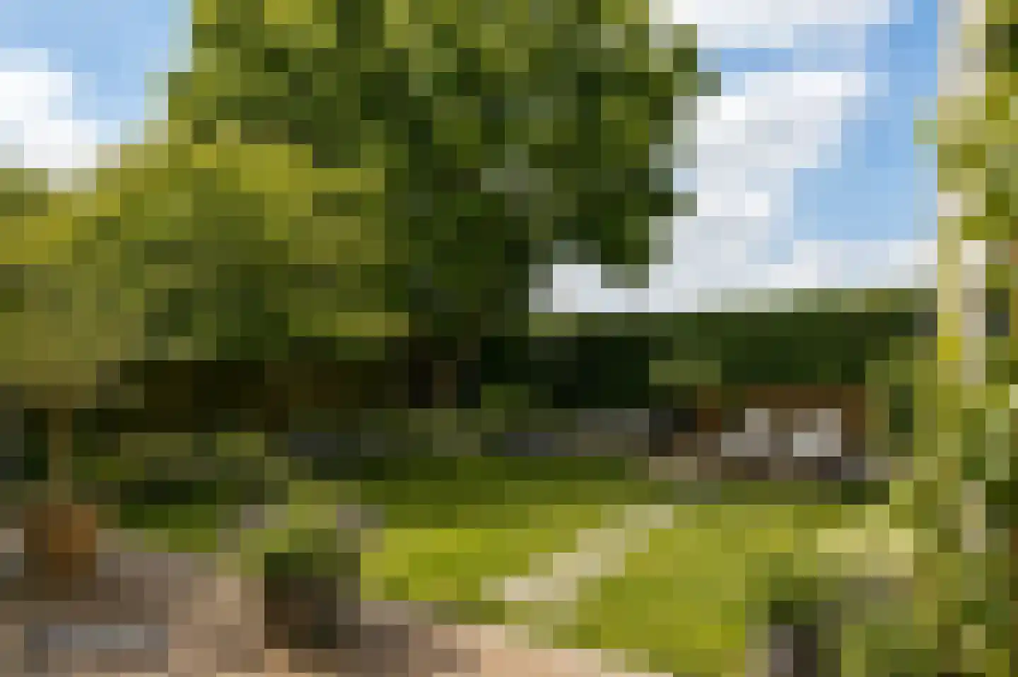 Maasheuvel 24 Roosteren thumbnail 52