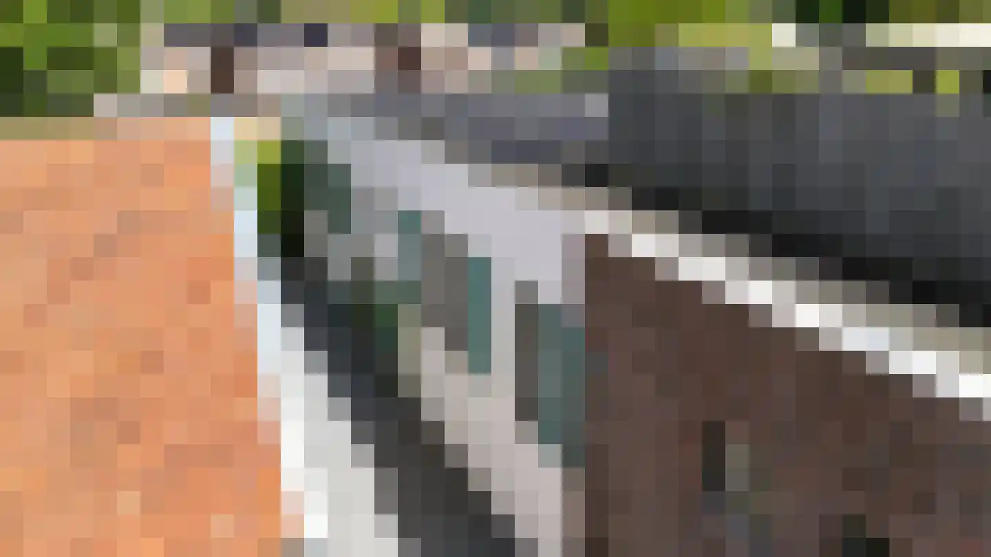 Maasheuvel 24 Roosteren thumbnail 52