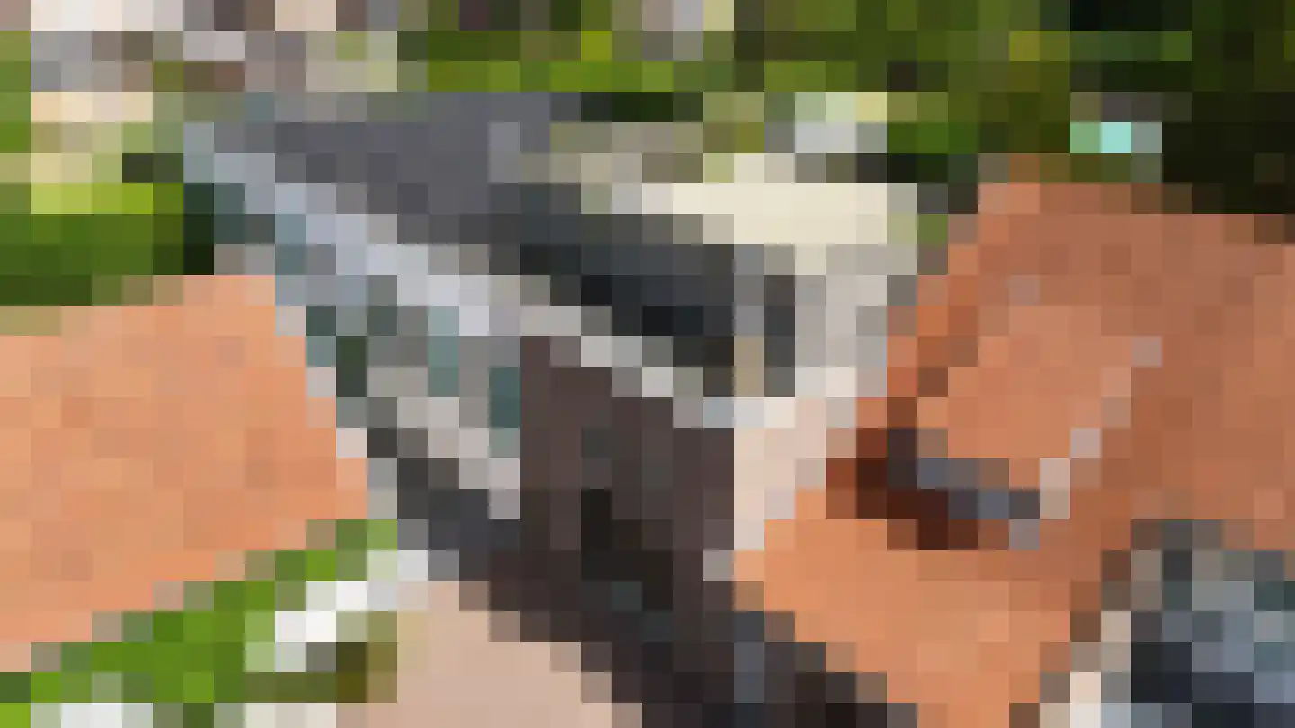 Maasheuvel 24 Roosteren thumbnail 57