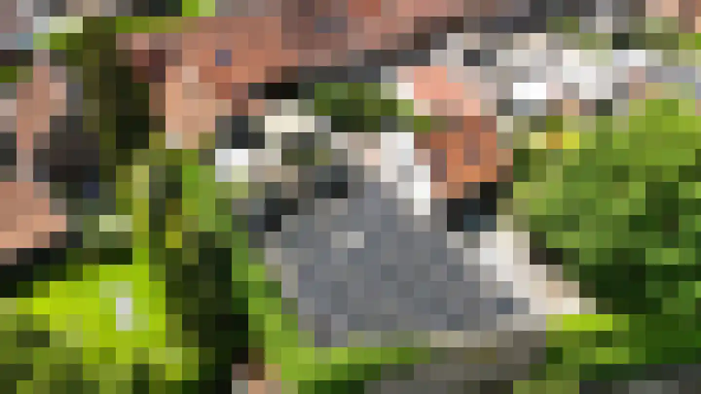 Maasheuvel 24 Roosteren thumbnail 6