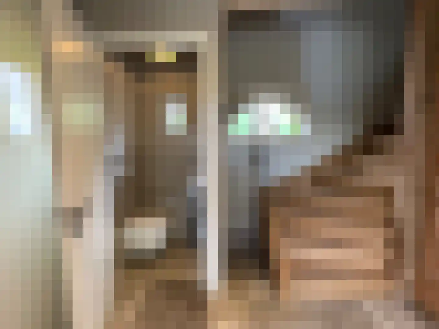 Maasheuvel 24 Roosteren thumbnail 60