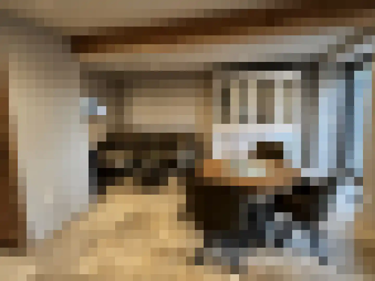 Maasheuvel 24 Roosteren thumbnail 61