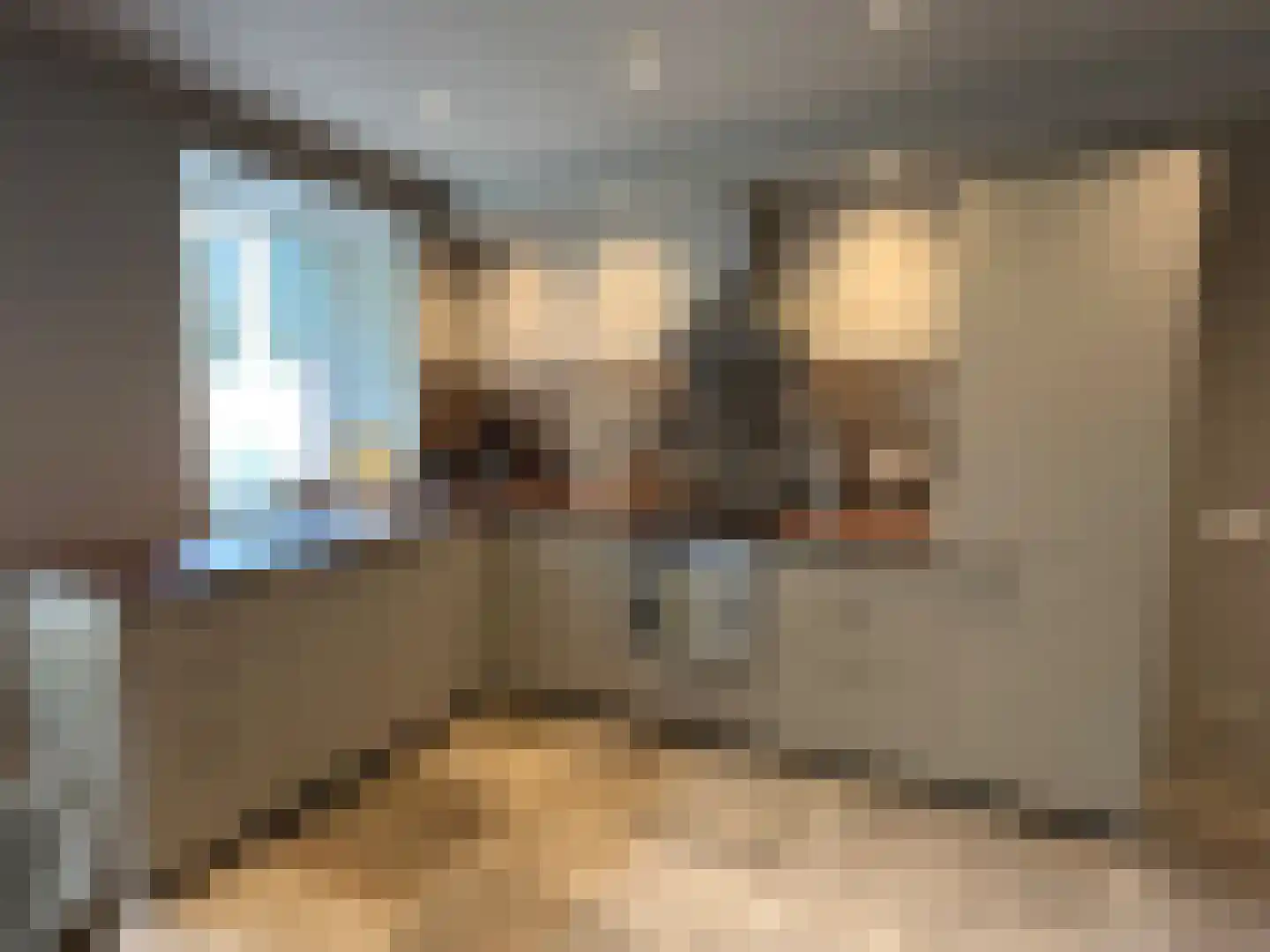 Maasheuvel 24 Roosteren thumbnail 63
