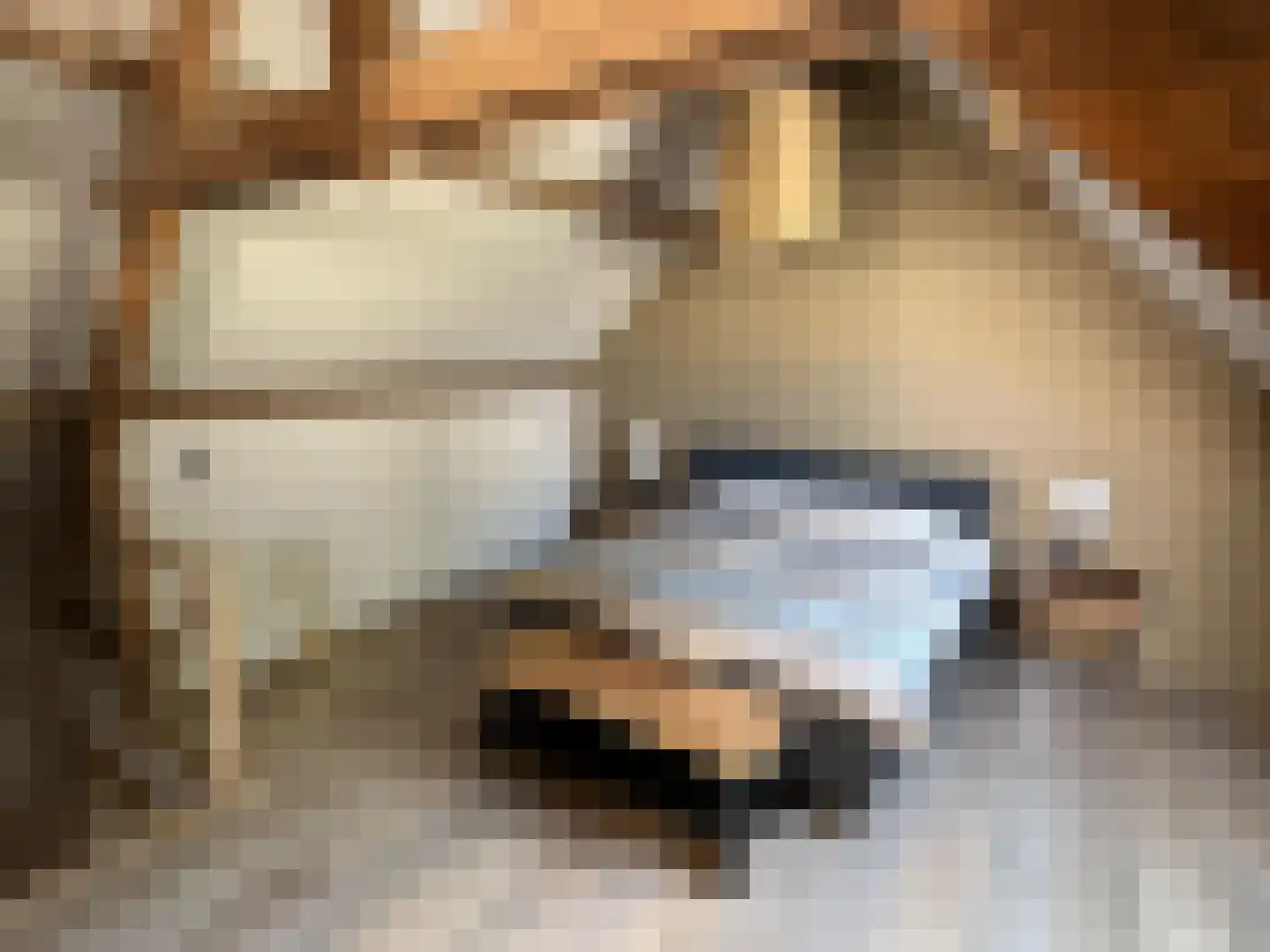 Maasheuvel 24 Roosteren thumbnail 64
