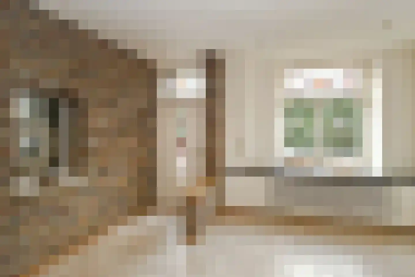 Maasheuvel 24 Roosteren thumbnail 7
