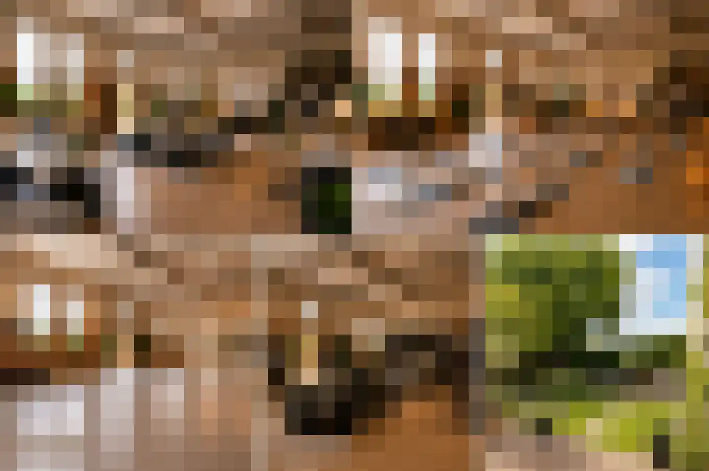 Maasheuvel 24 Roosteren thumbnail 7