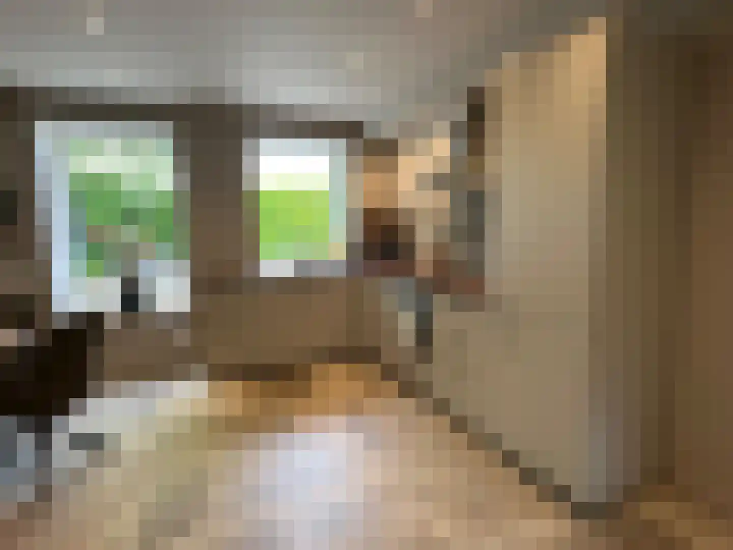 Maasheuvel 24 Roosteren thumbnail 79
