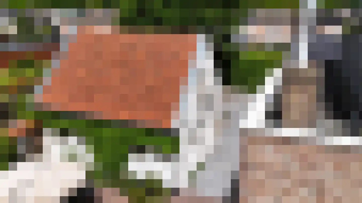 Maasheuvel 24 Roosteren thumbnail 96