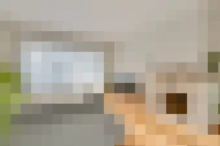 Maasheuvel 37 Roosteren thumbnail 11
