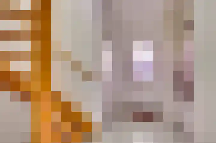 Maasheuvel 37 Roosteren thumbnail 15