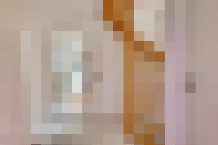 Maasheuvel 37 Roosteren thumbnail 17