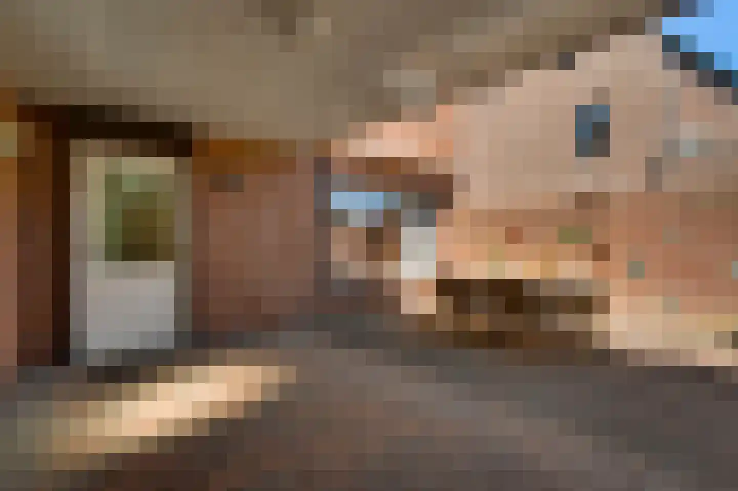 Maasheuvel 37 Roosteren thumbnail 29