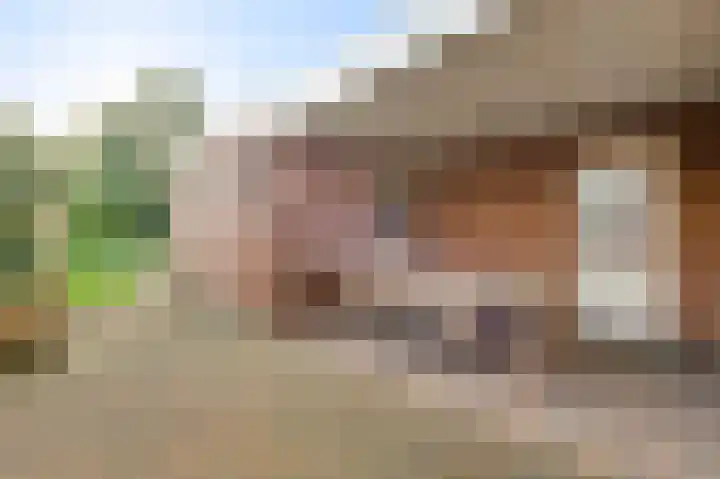 Maasheuvel 37 Roosteren thumbnail 29
