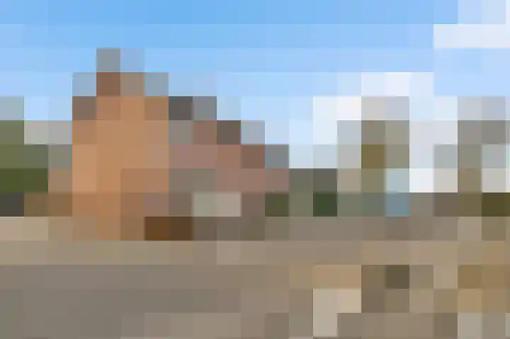 Maasheuvel 37 Roosteren thumbnail 41