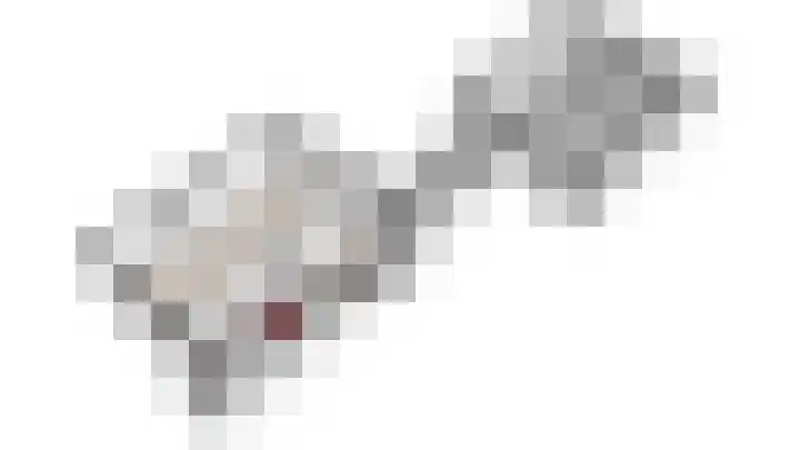 Maasheuvel 37 Roosteren thumbnail 46