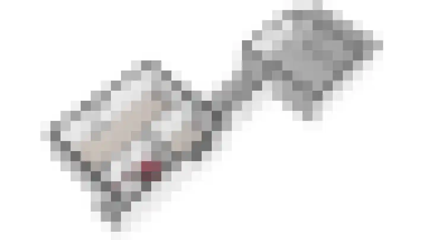 Maasheuvel 37 Roosteren thumbnail 47
