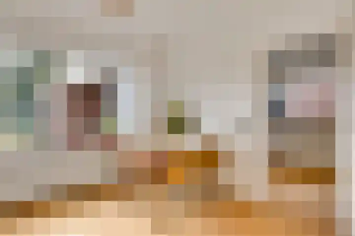 Maasheuvel 37 Roosteren thumbnail 7