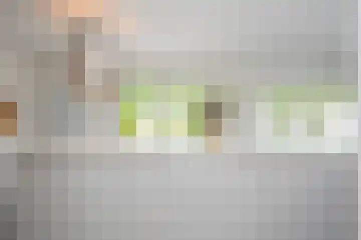 Maasheuvel 52 Roosteren thumbnail 10