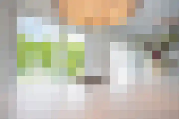 Maasheuvel 52 Roosteren thumbnail 15