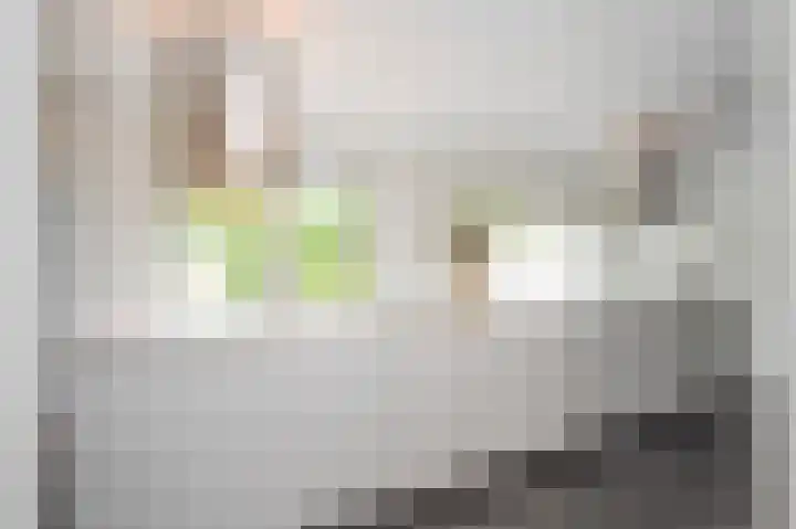 Maasheuvel 52 Roosteren thumbnail 16