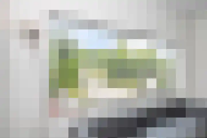 Maasheuvel 52 Roosteren thumbnail 21