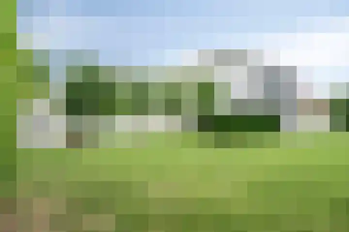Maasheuvel 52 Roosteren thumbnail 28