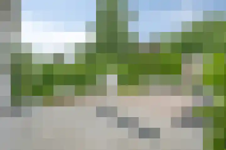Maasheuvel 52 Roosteren thumbnail 30