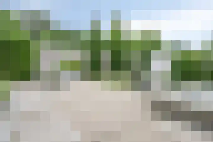 Maasheuvel 52 Roosteren thumbnail 31